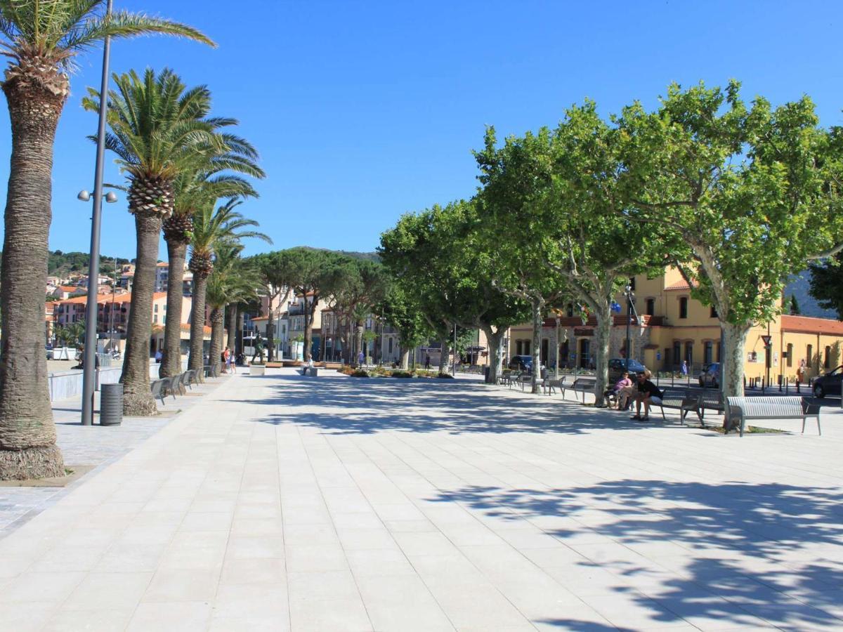 Appart T1 A 250M Plage, Clim, Wifi, Parking, Centre Banyuls - Fr-1-225C-75 エクステリア 写真